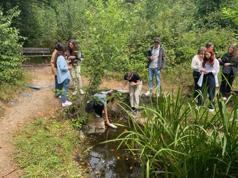 Lerngang Gewässeruntersuchung