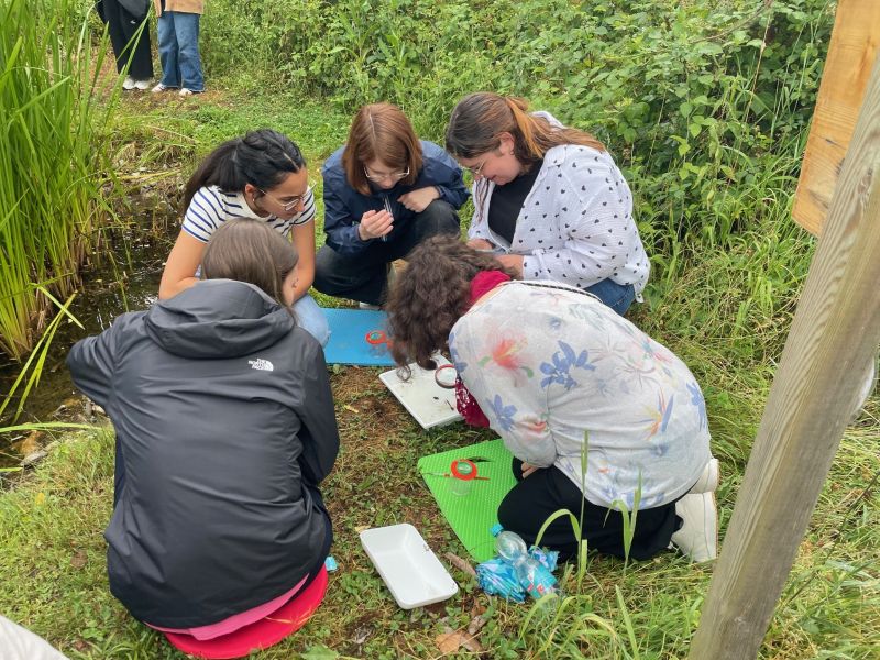 Lerngang Gewässeruntersuchung